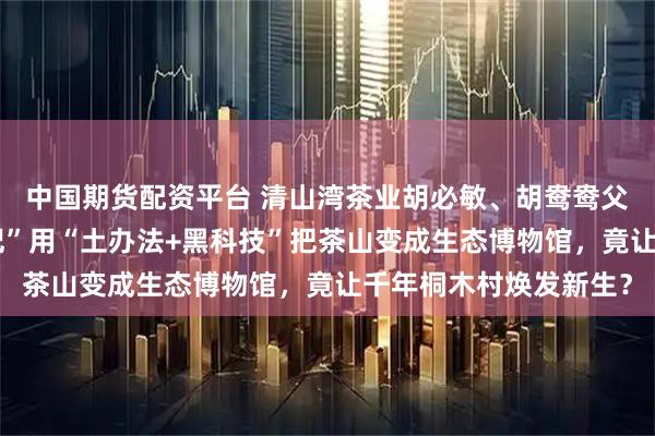 中国期货配资平台 清山湾茶业胡必敏、胡鸯鸯父女档上演“茶山变形记”用“土办法+黑科技”把茶山变成生态博物馆，竟让千年桐木村焕发新生？