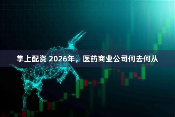 掌上配资 2026年，医药商业公司何去何从