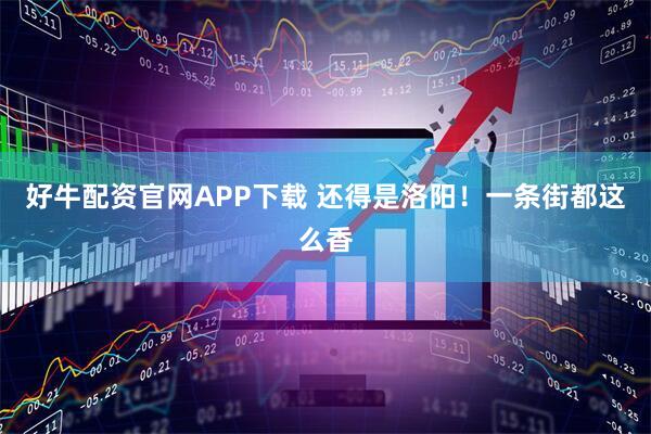 好牛配资官网APP下载 还得是洛阳！一条街都这么香